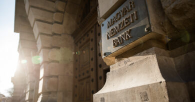 Nem kértek a bankok az MNB eurójából