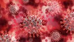 Meghaladta a 37,4 milliót a koronavírus-fertőzöttek száma a világon
