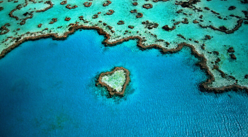 Súlyos a pusztulás az ausztrál Nagy-korallzátonynál