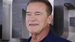 Nem, ez nem vicc: Csúnyán beégett híres veje előtt Arnold Schwarzenegger – videó
