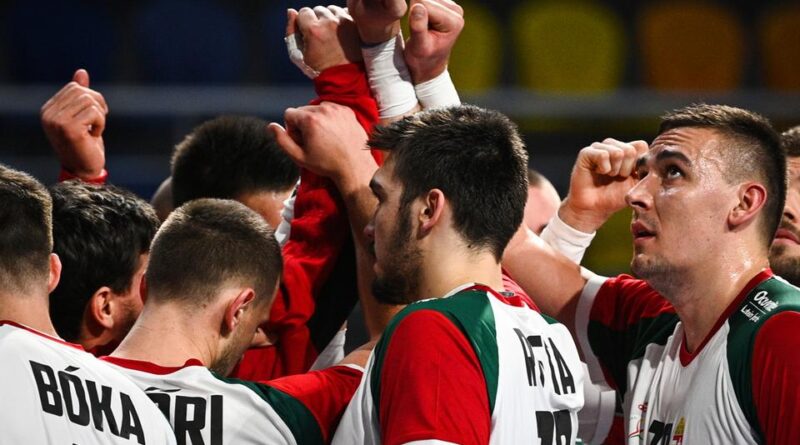 Férfi kézilabda-vb: Franciaország–Magyarország negyeddöntő élőben az NSO-n!