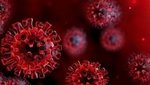 Megjöttek a napi lesújtó számok: ennyien haltak meg egy nap alatt koronavírusban