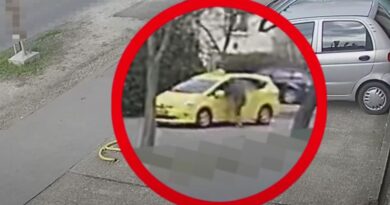 Videón a késes zuglói taxistámadás