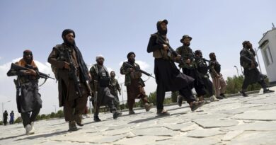 A tálibok szabadon engedtek 145 kommandóst