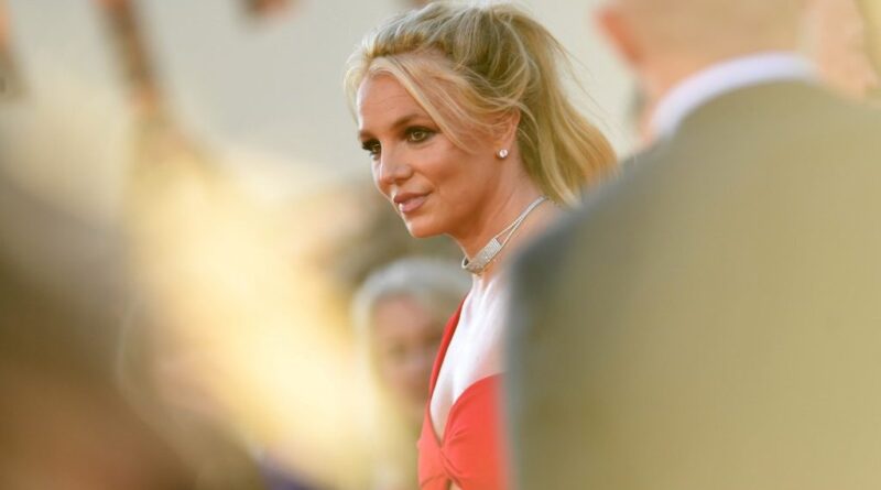 Britney Spears a kutyája miatt üthette meg a házvezetőnőjét