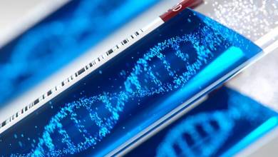 Így lett Guinness-rekord a mesterséges intelligenciával megspékelt DNS-szekvenálásból