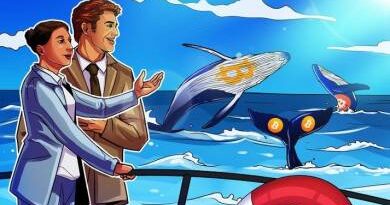 Mik azok a Bitcoin-bálnák és hogyan lehet követni őket?