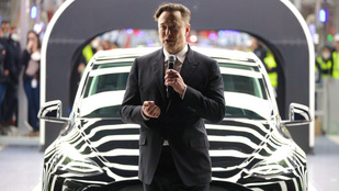 Magyarország kontra Elon Musk, BMW-örökösök