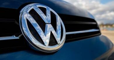 Félmeztelen tüntető zavarta meg a Volkswagen-részvényesek találkozóját