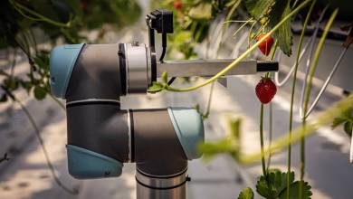 Fenntarthatóbb növénytermesztés robotokkal
