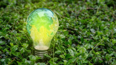 Csaknem 3 milliárd forintos zöld technológiai fejlesztést valósított meg a Solar FM Komlón